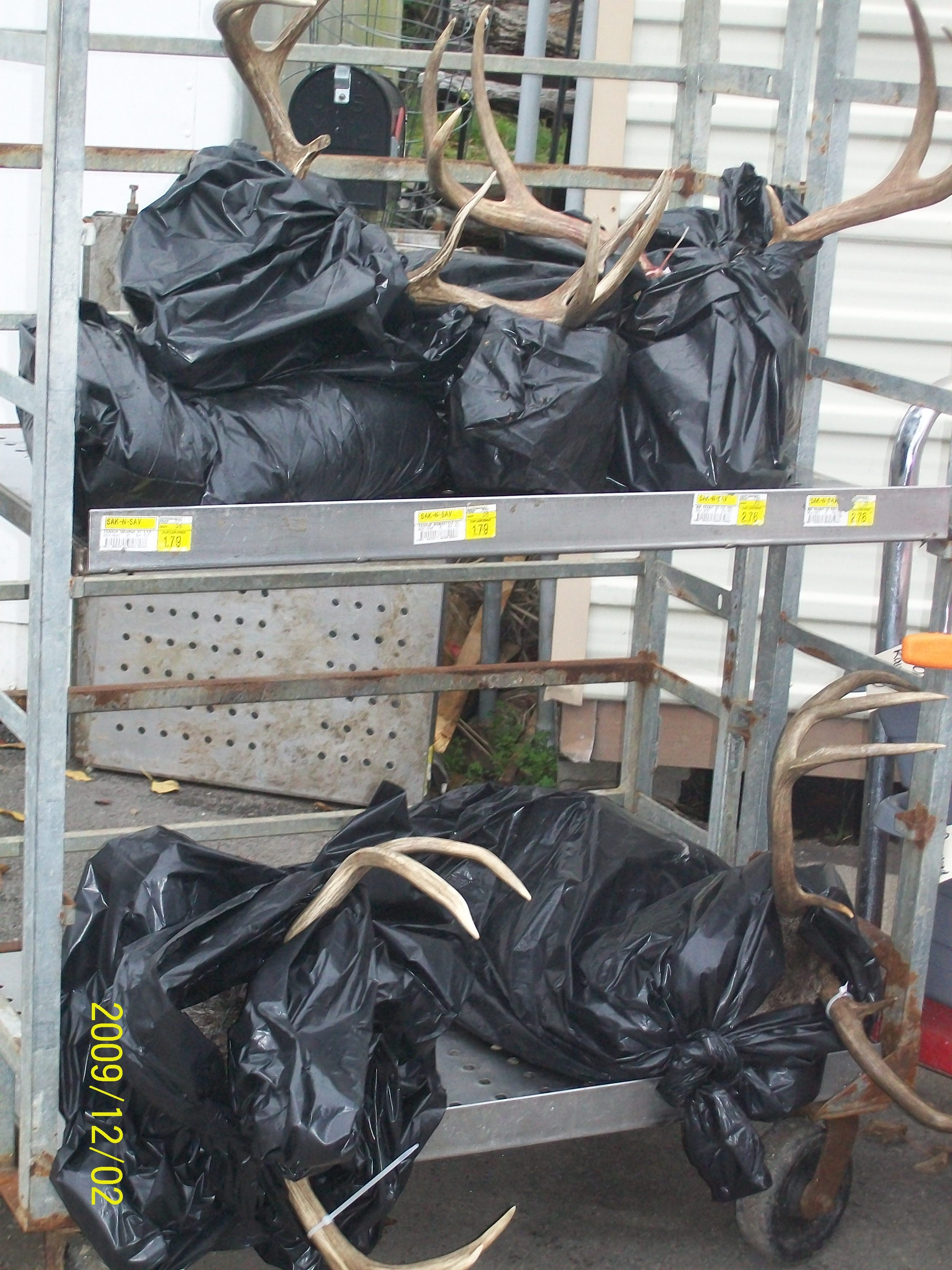 Links Jackson's Deer Processing Crosby Texas Sausage Hogs Exotic Houston